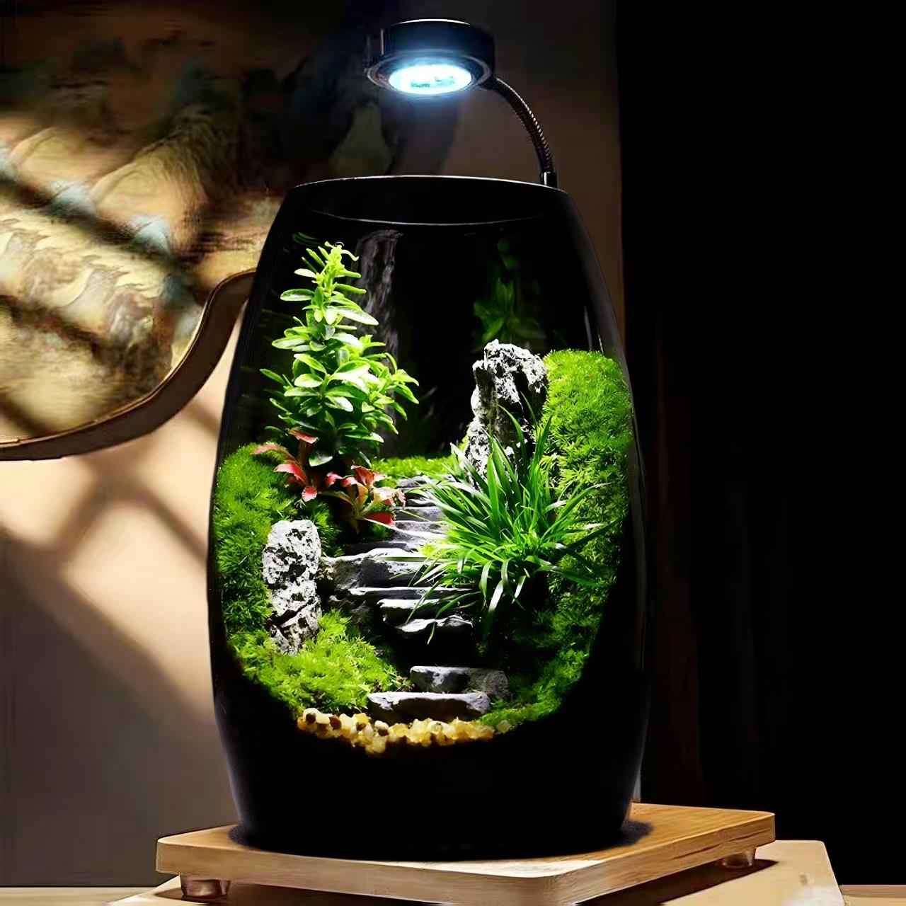 苔藓微景观生态瓶造景植物桌面小摆件盆栽森林玻璃养鱼生态雨林缸