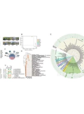 生信作图scif科研生物信息分析服务