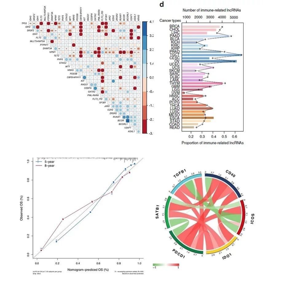 生信分析服务空间转录组代谢组分析单细胞测序数据挖掘seurat富集