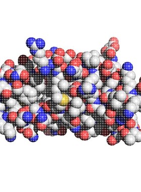 AlphaFold2构建蛋白PDB文件分子对接蛋白与小分子MD分子动力学模