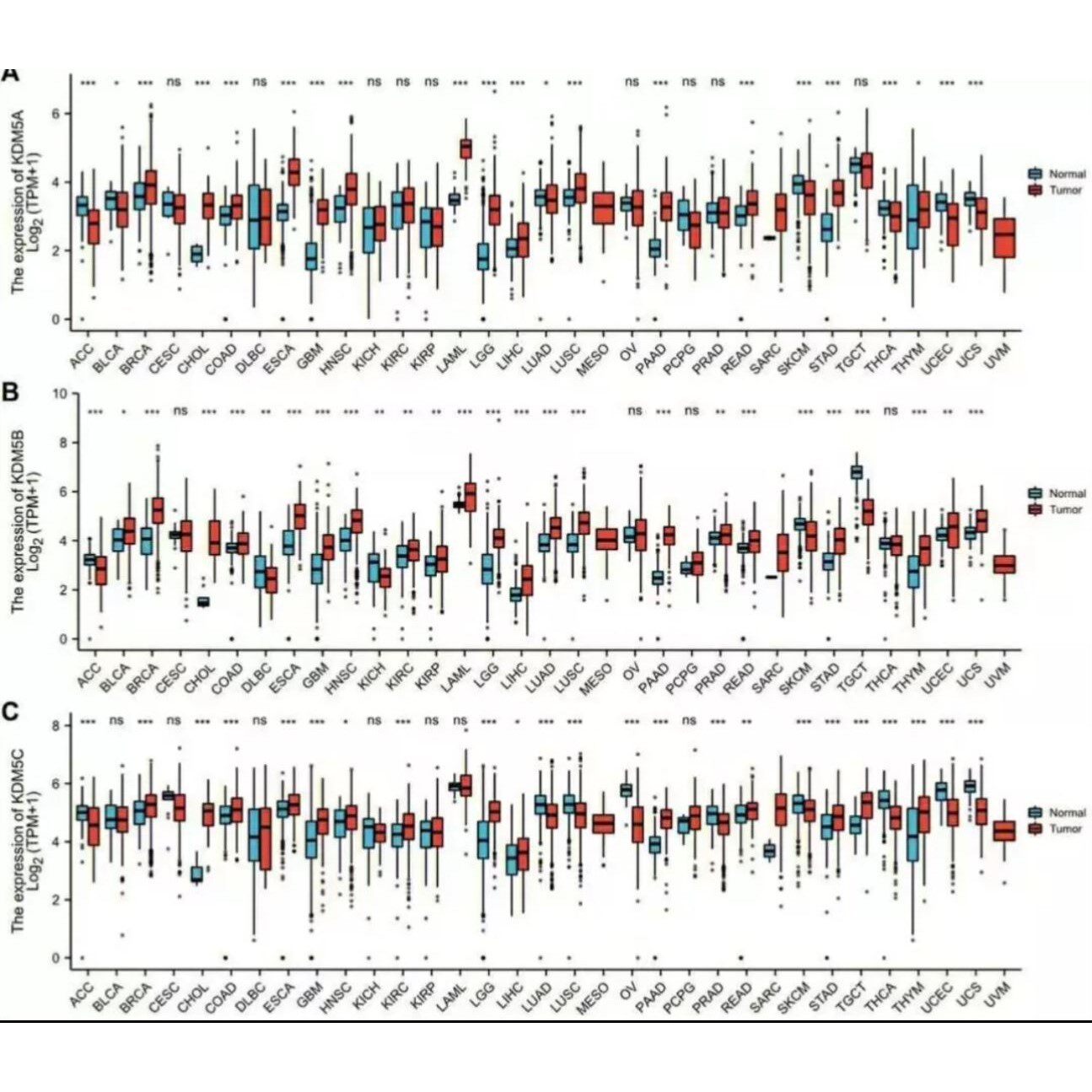 单细胞测序分析 生信分析 TCGA/GEO数据库挖掘生信可视化绘图