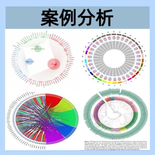 生信分析 曼哈顿图 QQ图 GWAS全基因组关联分析 种间差异点筛选