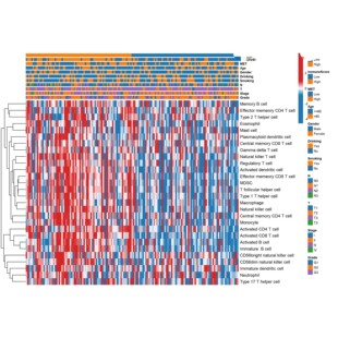 GEO，TCGA数据挖掘，多分组热图绘制，免疫浸润热图绘制