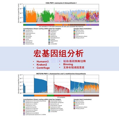 宏基因组数据微生物16S生信分析R语言绘图 humann3 kraken2 krona