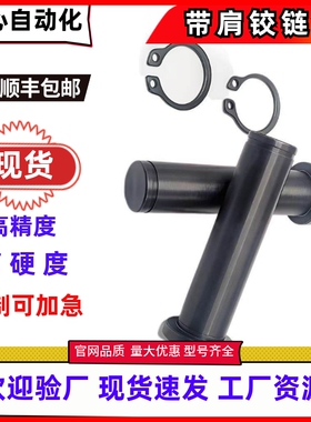 带肩铰链销 HCCG HCDG MIC01 MIC11 4 5 6 8 10 12 15 20卡簧销轴