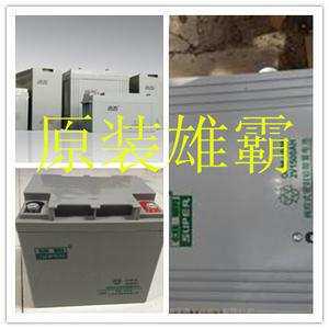 雄霸蓄电池6FM120 九州雄霸蓄电池12V120AH 直流屏 ups/EPS