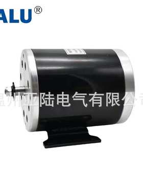 MY1020高速机车电摩电机漂移车电动机750W 36V48V60V永磁有刷电机