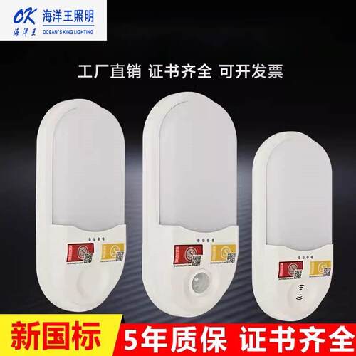 海洋王照明消防应急壁灯led新国标声光控人体感应楼道疏散指示灯