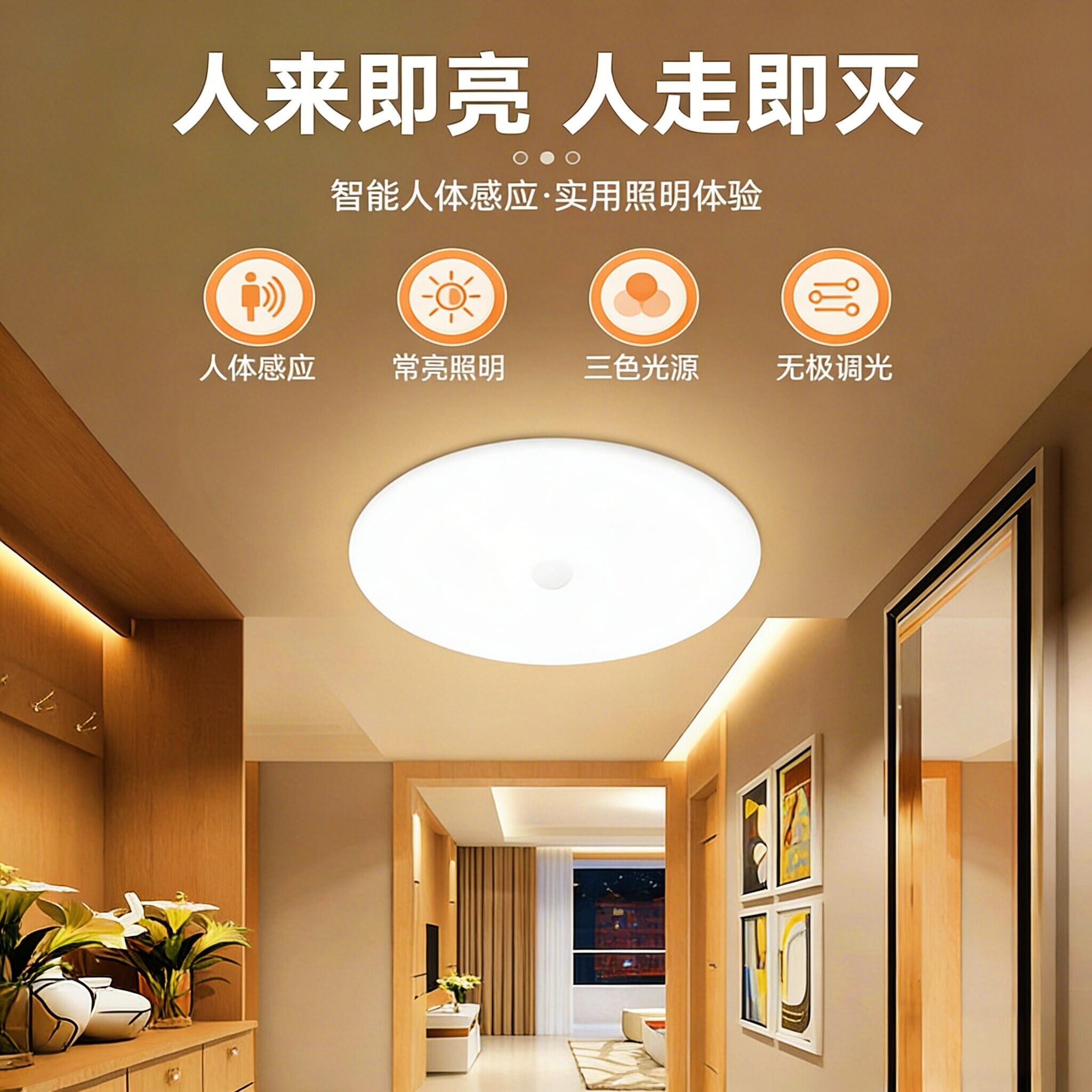 天花板吸顶灯人体感应小夜灯免布线入户玄关起夜简约充电遥控壁灯