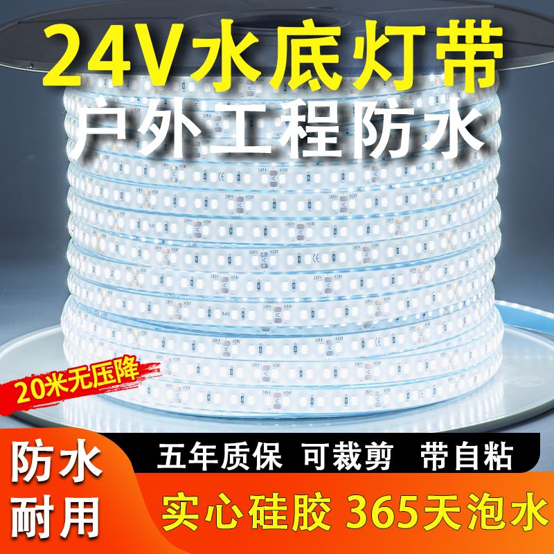 24V灯带实心硅胶户外防水下底泡水海洋泳池工程低压36V220led灯条