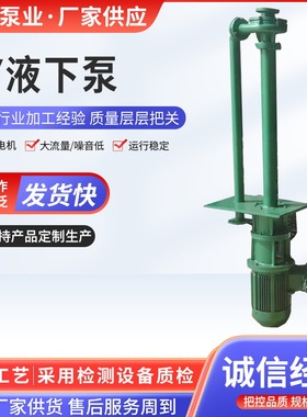 厂家供应FY液下泵 不锈钢液下工程塑料耐酸碱泵 耐腐蚀液下泵