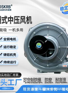 柔印机用TB100透浦式中压风机吹吸两用型安徽风品源DSKRB生产厂家