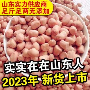 2024年山东平度大颗粒农家白沙花生仁生新货花生米新鲜去壳红粉皮