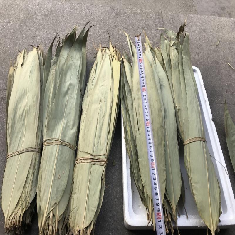 干粽叶浙江箬叶 新鲜烘干粽叶 粽子叶3份送粽绳总共100片多省包邮