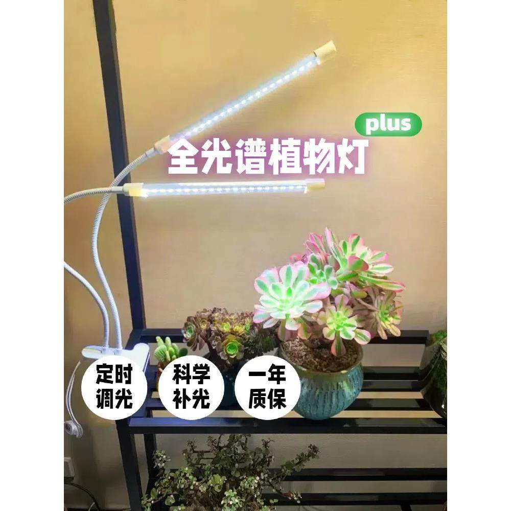 多肉补光增色灯定时USB夹式上色全光谱LED花卉盆景植物灯生长灯,家装灯饰光源,植物生长灯,淘宝优惠券,粉丝福利购,淘宝优惠卷