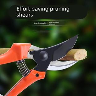 德国进口园艺剪枝剪刀果树修枝剪园林花艺工具强力省力粗枝修剪剪