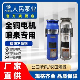 上海QSP人民喷泉泵不锈钢铸铁景观QS 假山别墅小区喷泉专用潜水泵