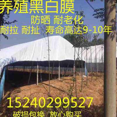 新品膜老膜O透明抗化P塑料膜滴加厚大棚膜保温薄膜棚养殖无q黑白