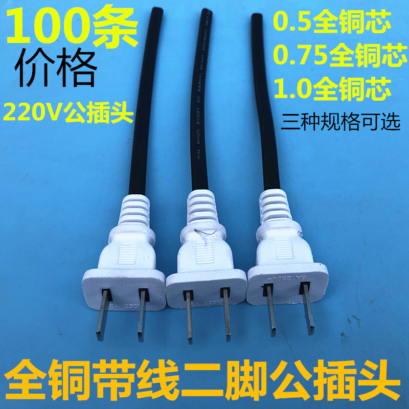 带线2孔母插头监控防水盒10A电源插头两脚母头220V公头防水一体