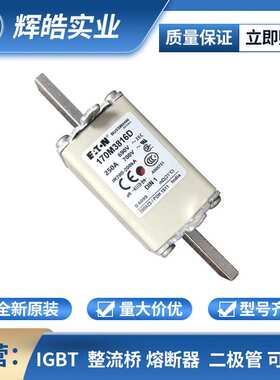 170M4392 170M4393 熔断器 熔断器配件 保险丝 电子元器件