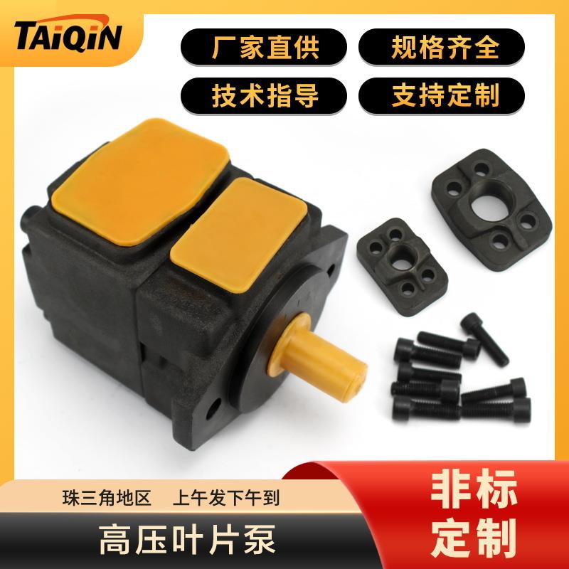 定制pv2r1/2/3系列高压叶片泵注塑机 低噪音油泵液压油泵