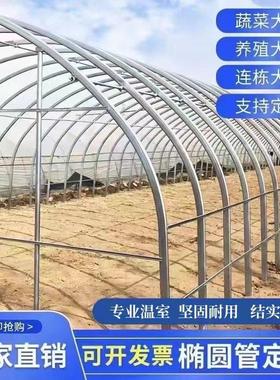 种植大棚养殖大棚温室大棚大棚骨架蔬菜大棚鸡鸭鹅大棚全套连栋棚
