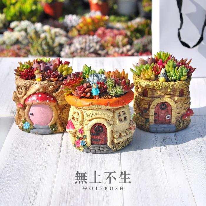 無土不生多肉成品组合盆栽创意绿植多肉组合带盆种好发母亲节礼物