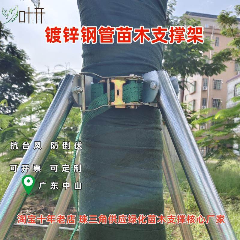 钢管树木支撑架防风支架绑带式树木支撑固定器园林绿化苗木支架
