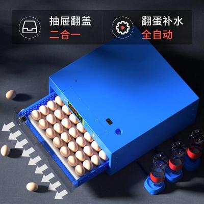 威振孵化器小型家用迷你孵化机全自动智能孵蛋器小鸟芦丁鸡孵化箱