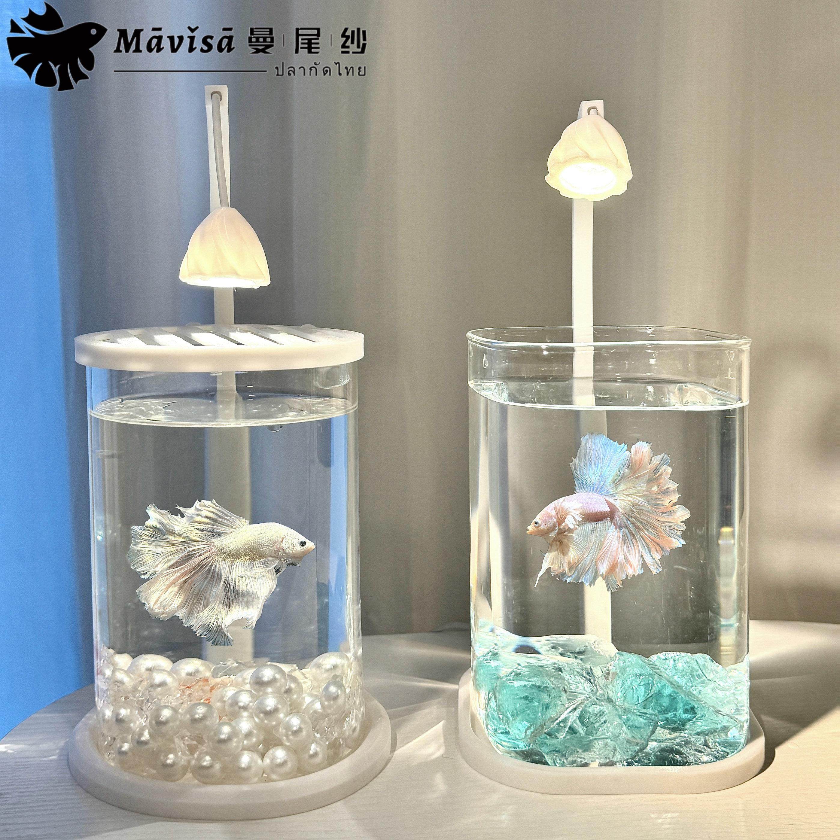 曼尾纱斗鱼专用鱼缸小型客厅2024新款玻璃造景小夜灯创意摆件,宠物/宠物食品及用品,桌面缸,淘宝优惠券,粉丝福利购,淘宝优惠卷