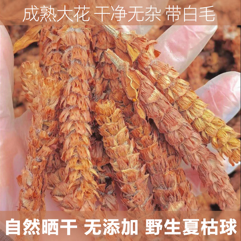 夏枯草球夏姑草白毛夏枯球夏菇草夏谷草非野生夏古草凉茶泡水