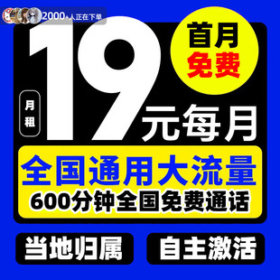 流量卡纯上网卡全国通用不限速大流量卡5G无线限手机卡电话卡4G卡