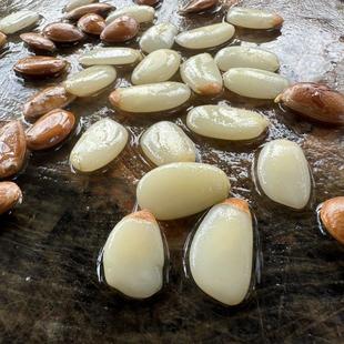 柿子核原籽野生油柿核文玩挂饰油柿原核天然玉品饰品手串吊坠文玩