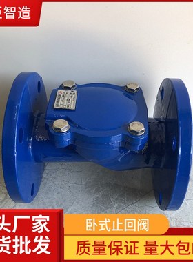 蓝色球墨铸铁卧式法兰橡胶瓣止回阀逆止阀DN50 65 80 Q100 150 20