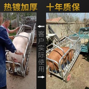 。猪笼子猪场用卖猪笼装猪笼称猪笼小猪转运车肥母猪上车神器抓猪