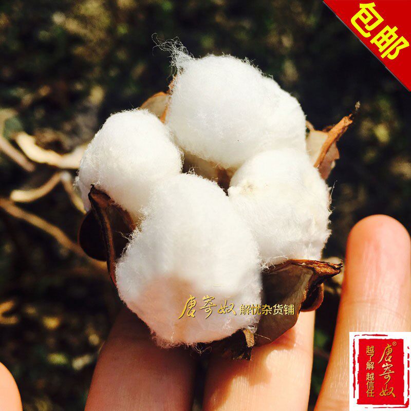 唐寄奴2021年新棉花棉絮棉被被芯春秋被冬被床垫垫子定制品不退换,床上用品,棉花被,淘宝优惠券,粉丝福利购,淘宝优惠卷