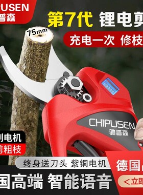德国驰普森电动修枝剪果树粗枝剪刀园林园艺充电式无线锂电树枝