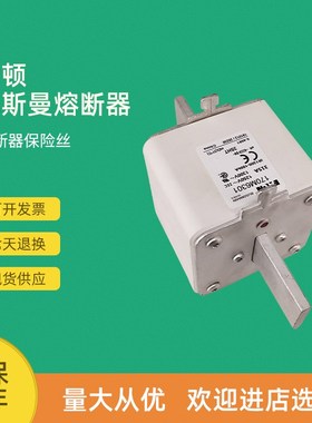 全新快速熔断器保险170M6299 170M6301 170M6303 170M6308
