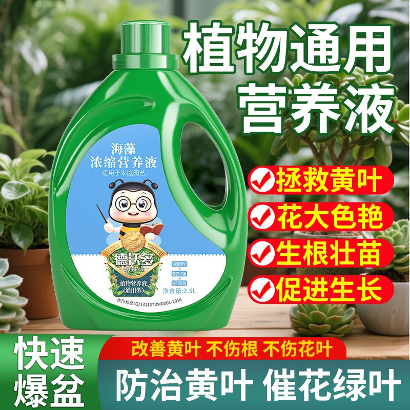营养液植物通用型绿萝富贵竹多肉发财树水培盆栽家用花卉绿植肥料