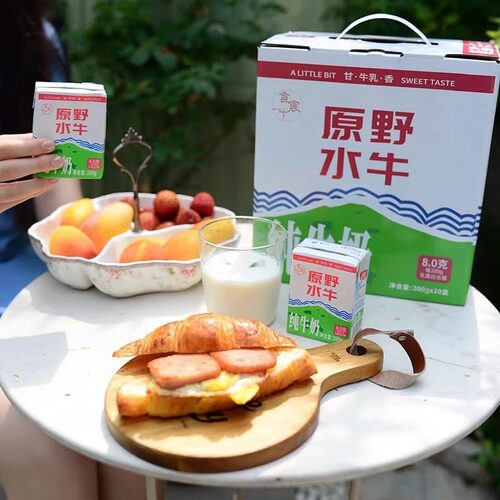 原野水牛纯牛奶食宸十纯牛奶生牛乳早餐奶营养健康200ml*10盒整箱