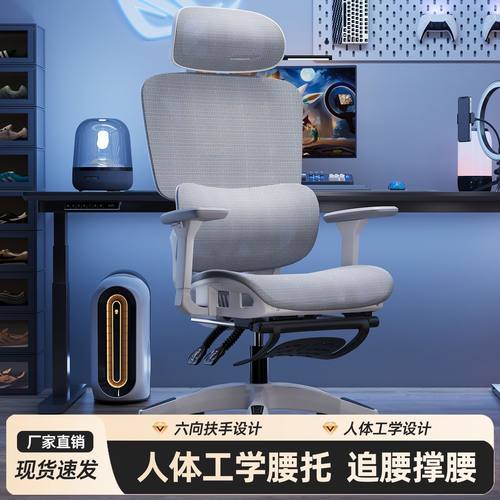电脑椅人体工学椅子家用可躺办公椅舒适久坐透气网布座椅电竞椅