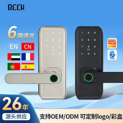 博克BECK指纹锁半面锁涂鸦通通远程自动锁室内密码跨境欧美智能锁
