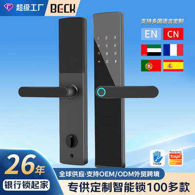 博克指纹锁涂鸦锁通通锁公寓锁智能门锁酒店民宿密码锁外贸批F15