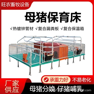 母猪定位栏限位栏猪圈围栏复合漏粪板母猪产床养猪用设备保育