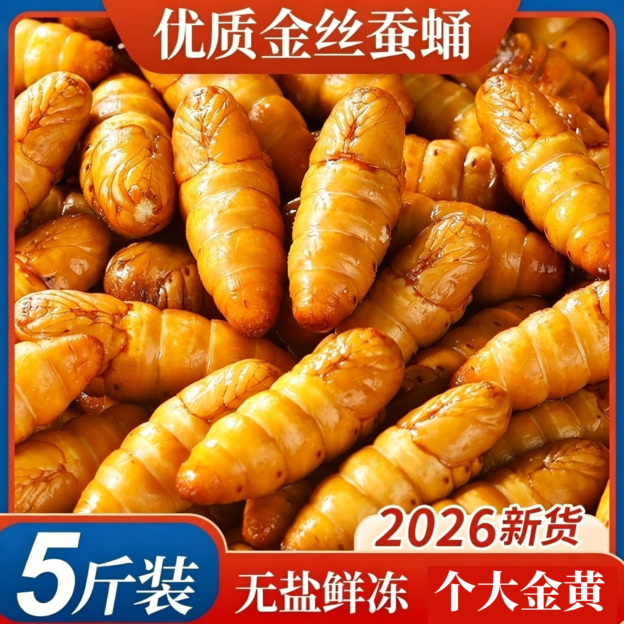 金丝蚕蛹鲜活新鲜冷冻无盐山东特产黄金蝉蛹油炸小桑蚕蛹商用烧烤