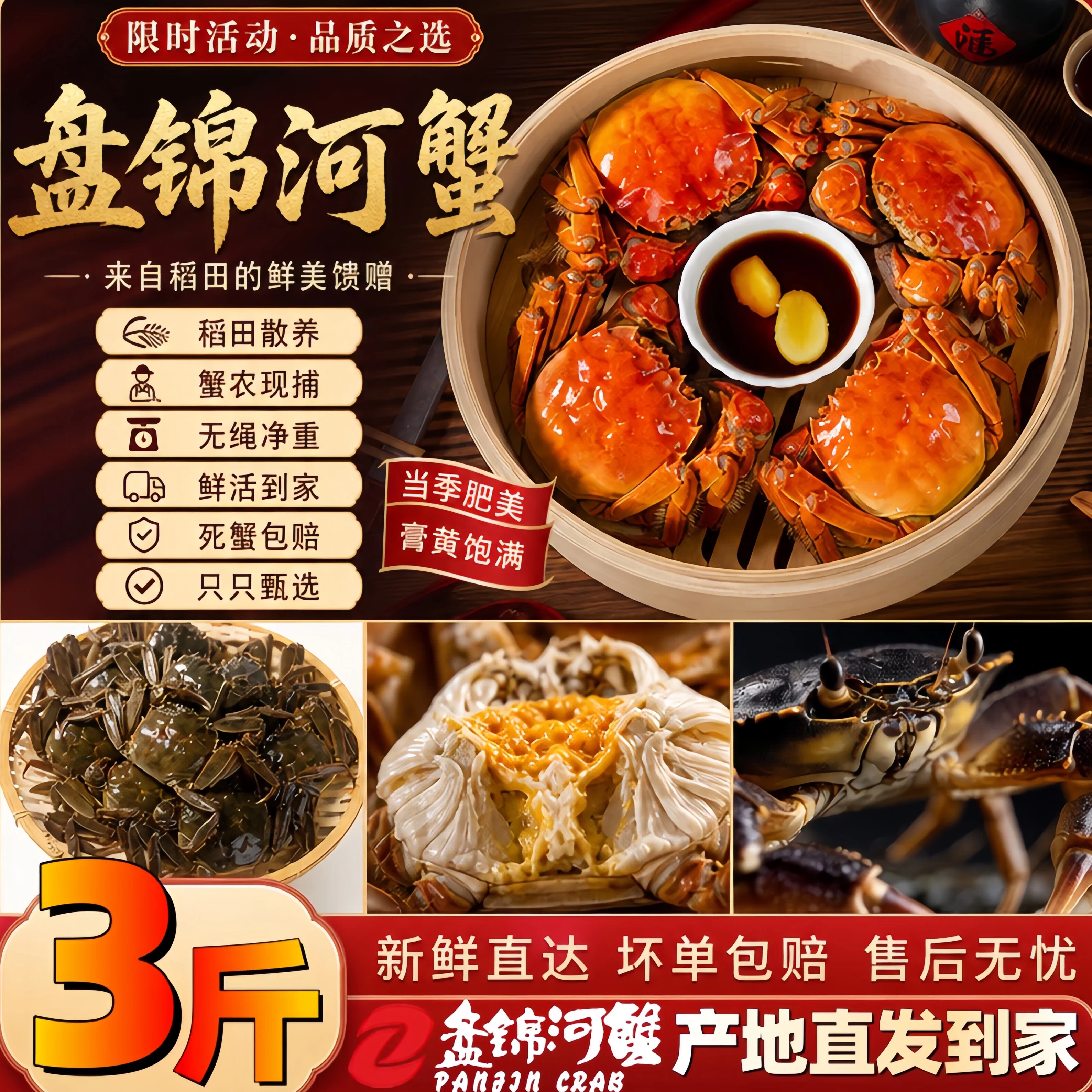 盘锦河蟹鲜活六月黄大闸蟹活蟹螃蟹鲜活大闸蟹现货新鲜湖蟹顺丰