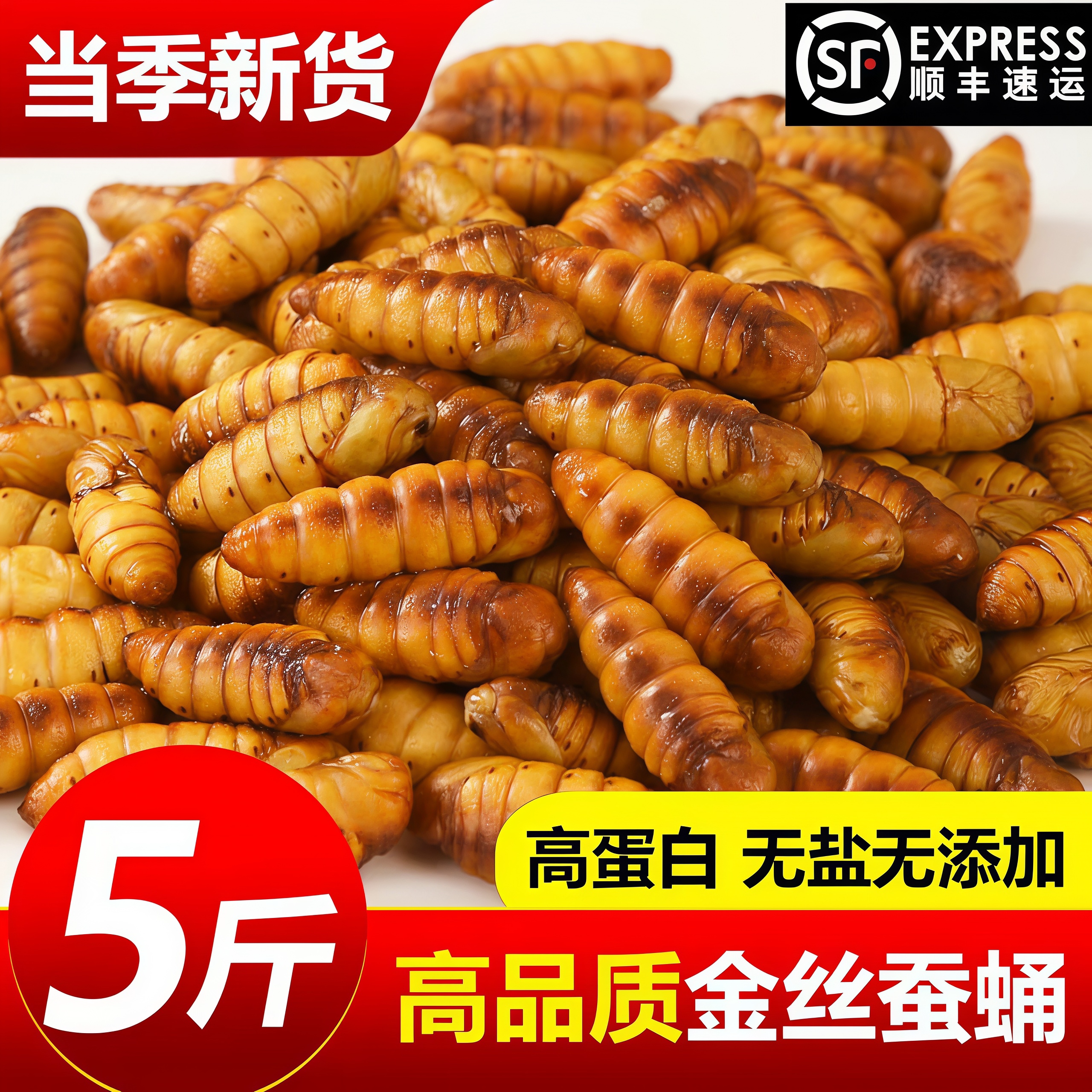 新鲜冷冻金丝蚕蛹商用烧烤批发