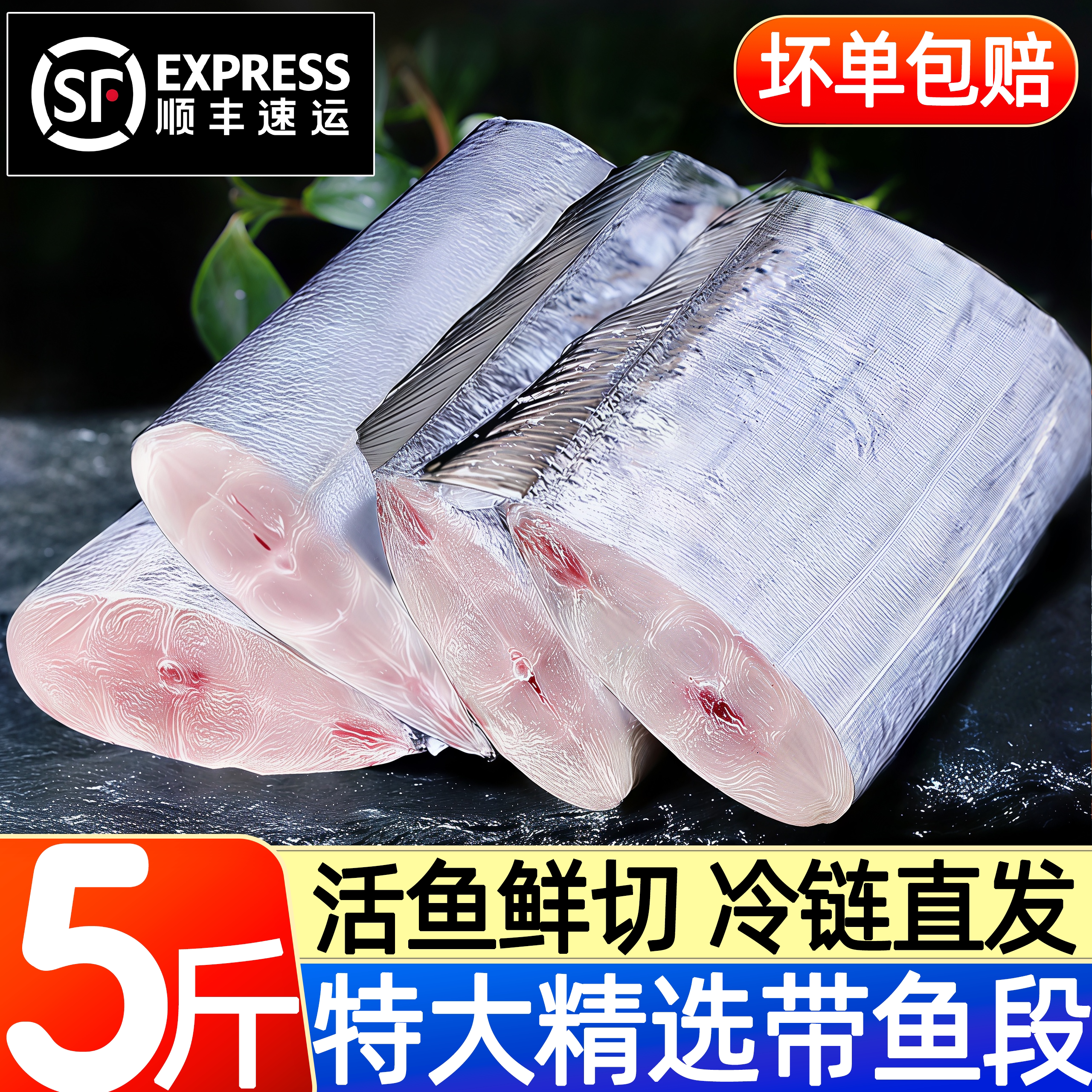 带鱼段冷冻中段小眼带鱼特大批发