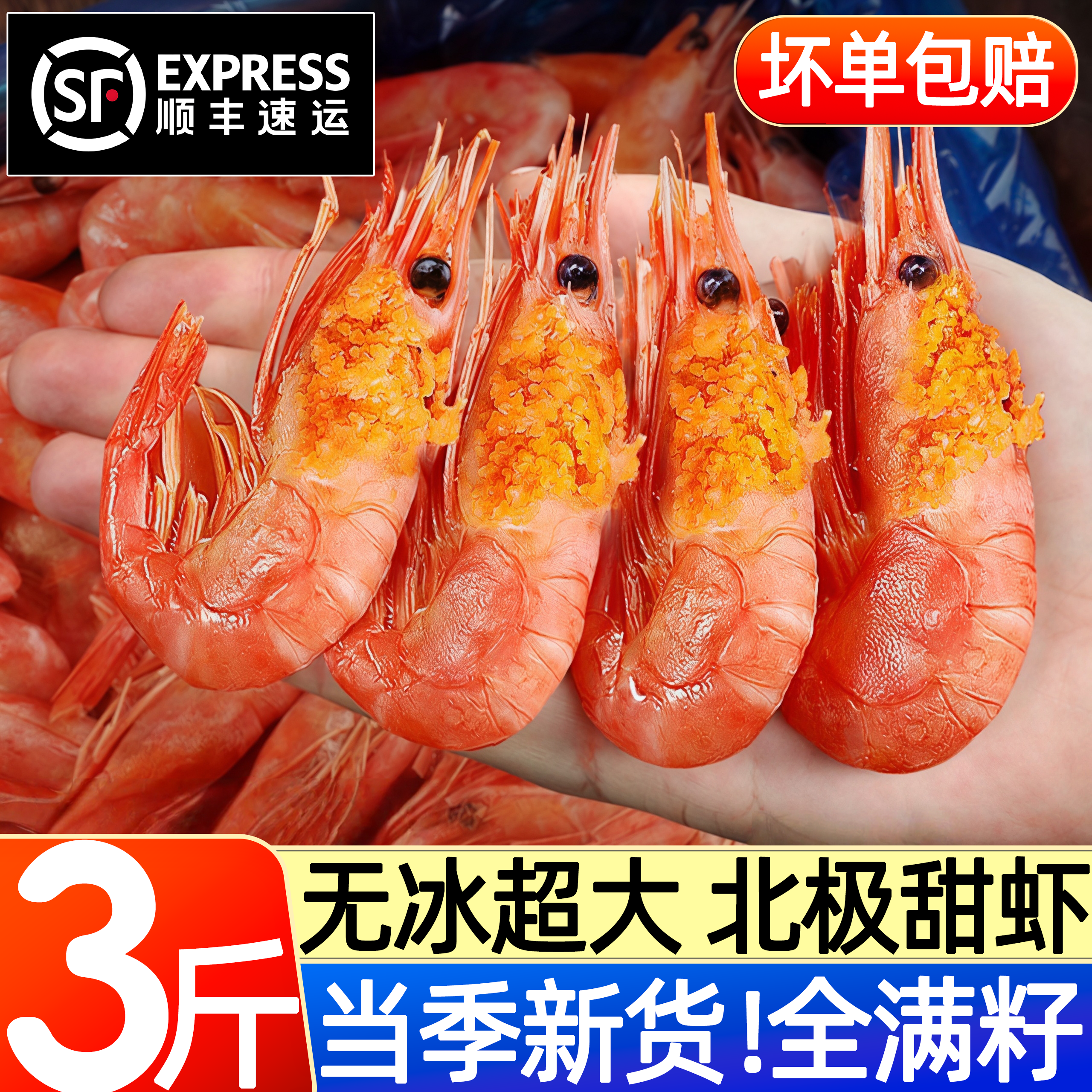 鲜汇北极甜虾特大冷冻刺身
