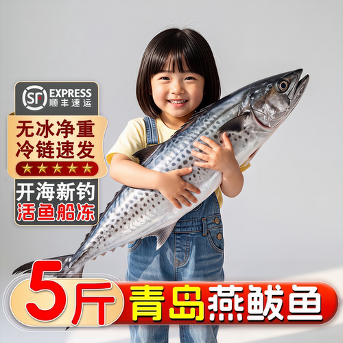 青岛大鲅鱼燕鲅新鲜冷冻整箱顺丰